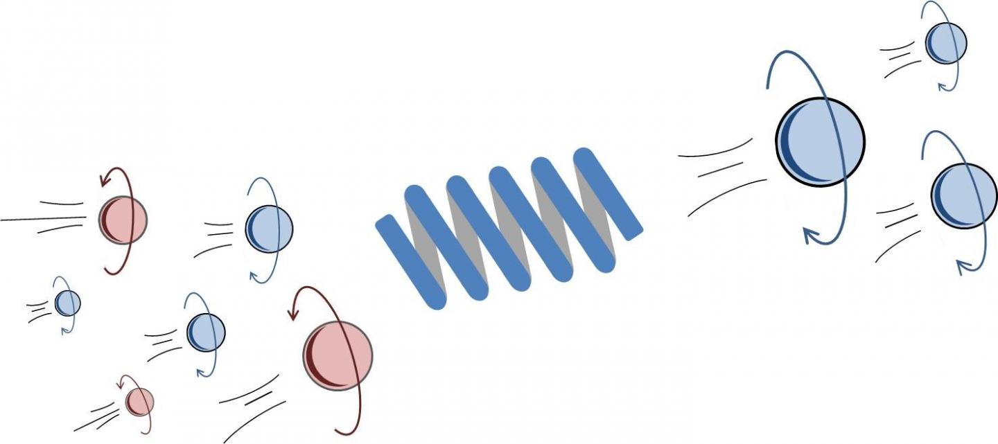 Helical Chiral Molecules Could Select Spins