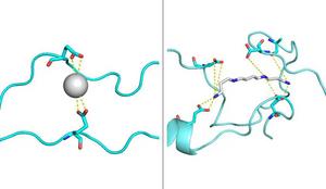 The hidden world of biomolecular condensates
