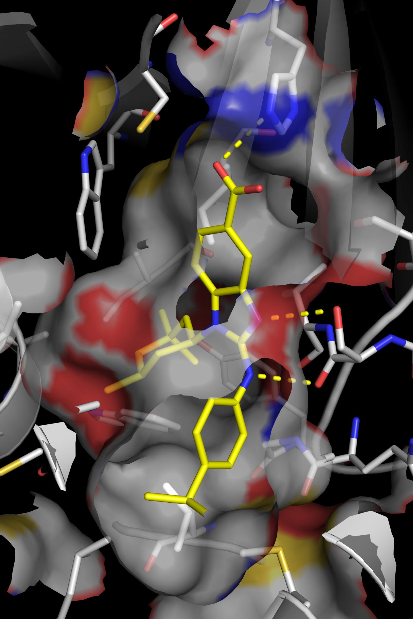 Candidate Drug BAY1436032 Binds to the Mutated Enzyme IDH1