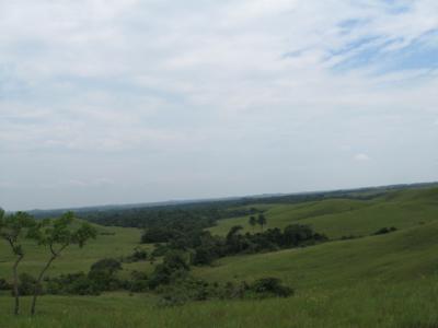 Orinoco River Basin (1 of 2)