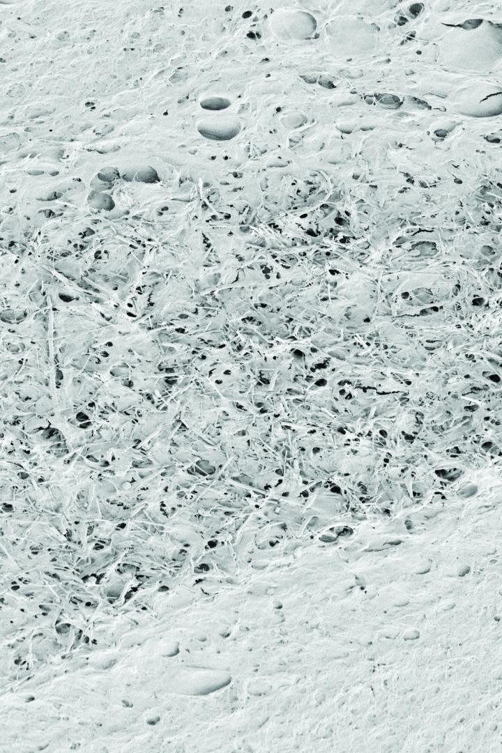 Nanotubes Scaffold (2 of 2)