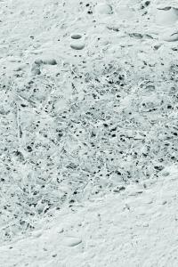 Nanotubes Scaffold (2 of 2)