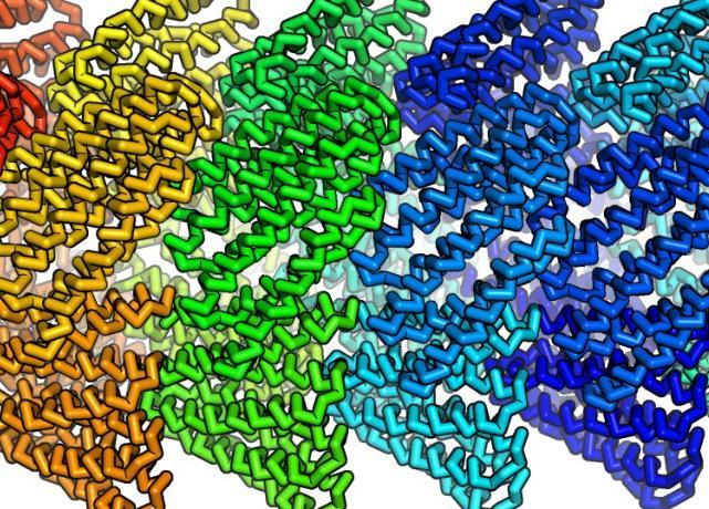 Snap Together Protein Filaments