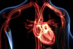 New research points to deeper connections between cardiovascular health and cancer
