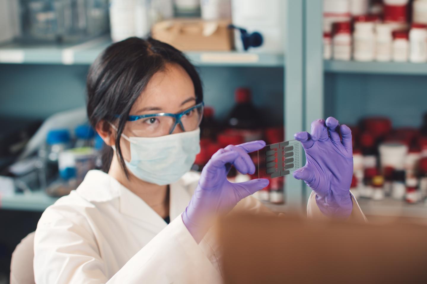 PhD candidate Betty Li holds up the microfluidic device