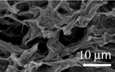 Organogel Scaffold