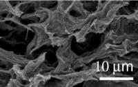 Organogel Scaffold