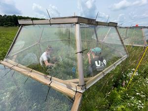 Simulating the effects of warming