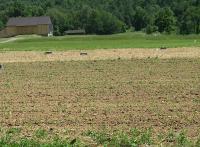 Till no Till