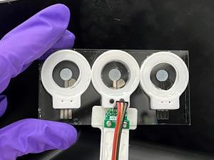 Portable testing chips