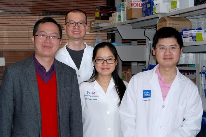 Research Team