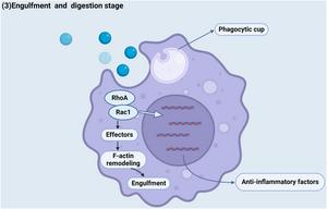 FIG 3