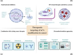 Therapeutic targeting of m6 A modification in cancer.