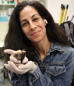 Dr. Maya Weinberg