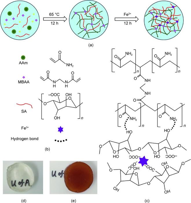 Fabrication of PAAm/SA-Gel
