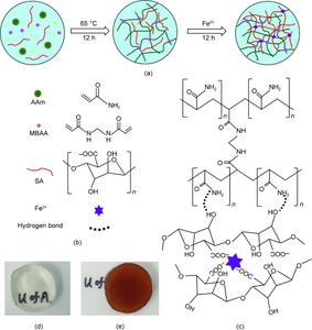 Fabrication of PAAm/SA-Gel