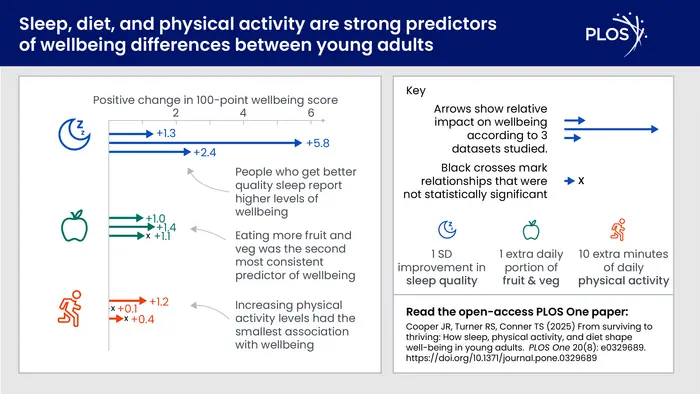 From surviving to thriving: How sleep, physical activity, and diet shape well-being in young adults