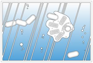 Eukaryotes evolution