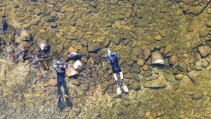Snorkel survey