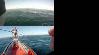 Whale Tagging