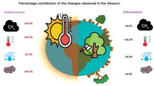 Deforestation reduces rainfall by 74% and increases temperatures by 16% in the Amazon during the dry season, study says