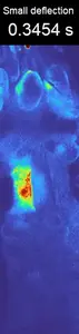 Video 1: Weak-deflection response in the sensory hair