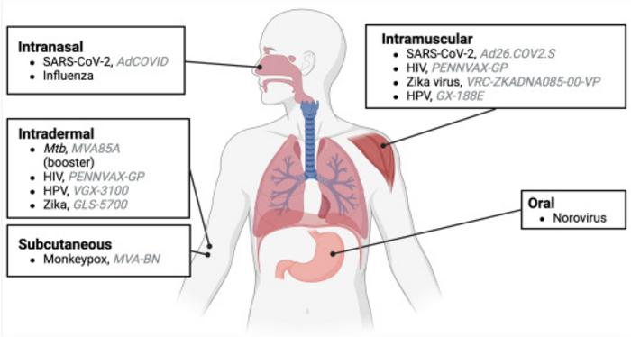 FIG 3
