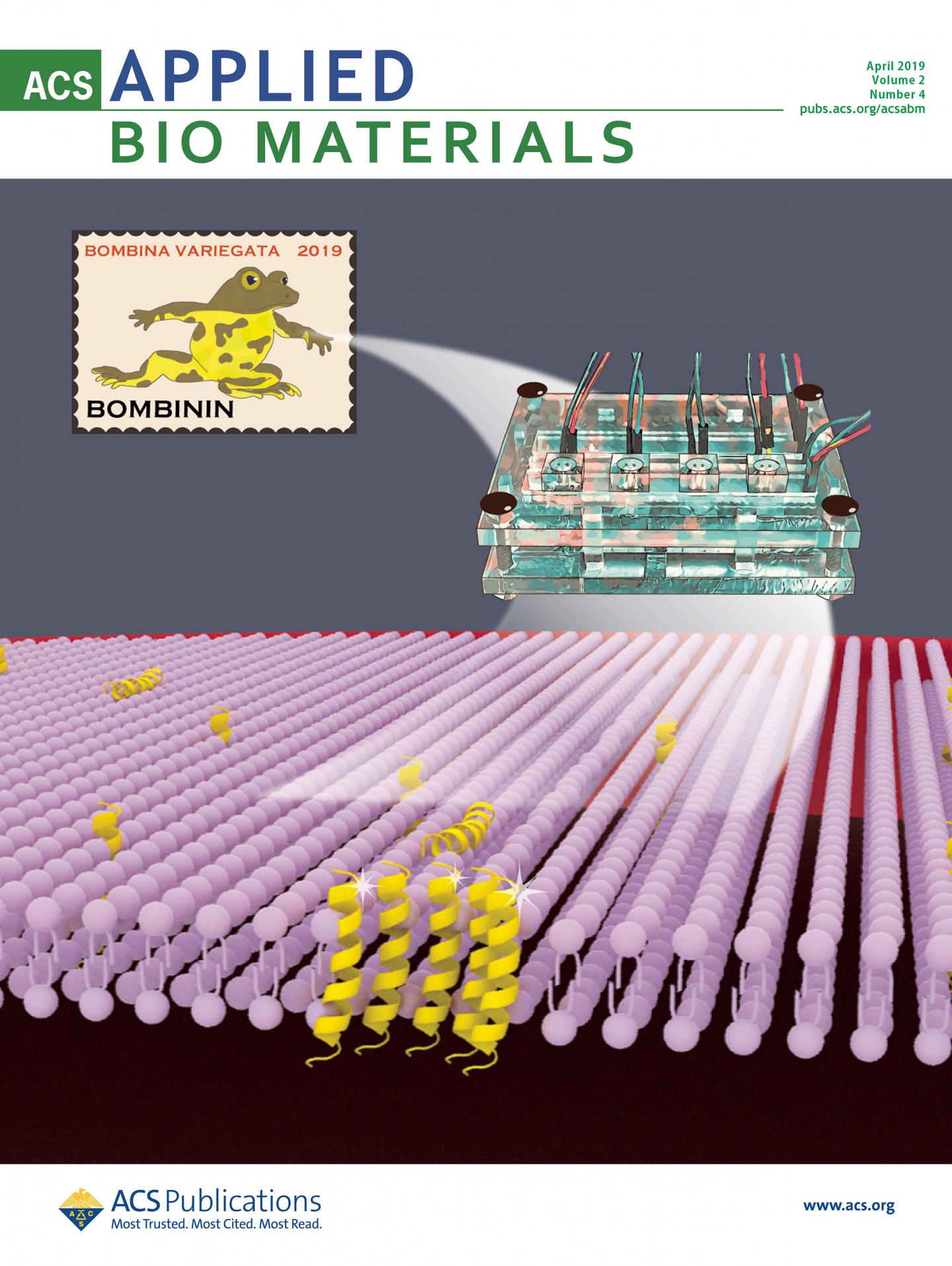 The Image Shows a Graphical Abstract
