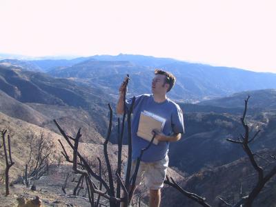 Studying Burned Landscape