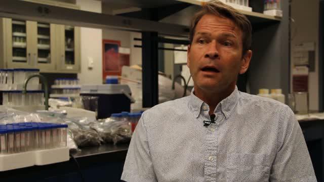 Gabriel Filippelli of IUPUI Discusses US Areas of Concern for Indoor Contaminants