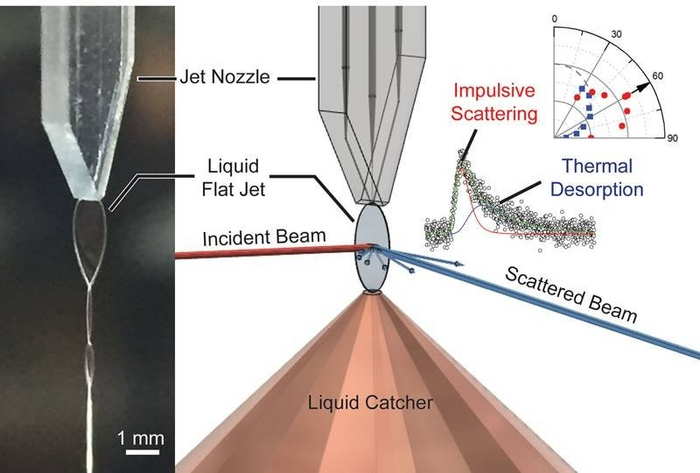 Novel Method Examines the Gas-Liquid Interface in New Detail