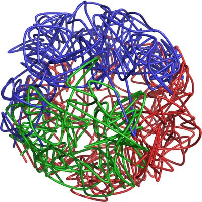 Structure of the Fission Yeast Genome