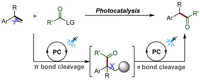 Photocatalytic Olefin Double Bond Cleavage Acylation