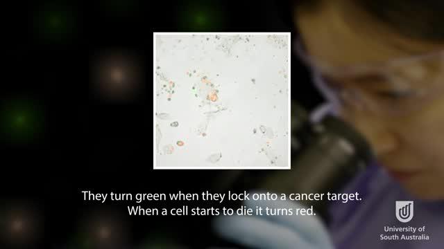 Dr. Tessa Gargett -- UniSA's Fight Against Cancer