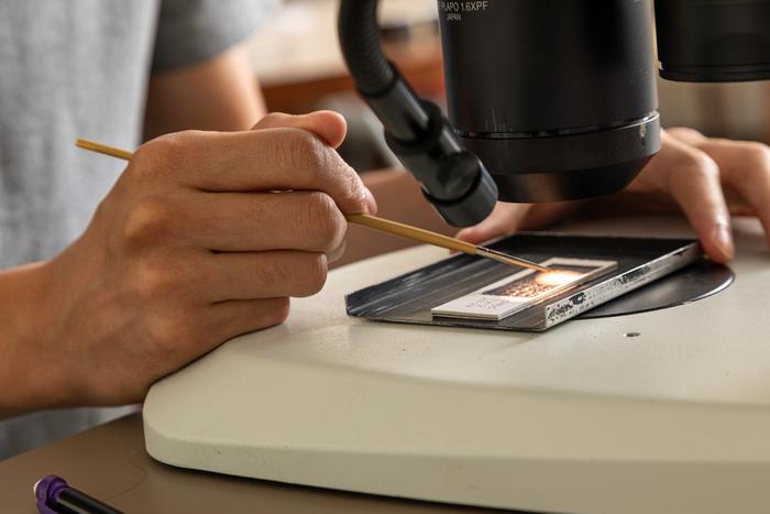 Separating tiny fossils