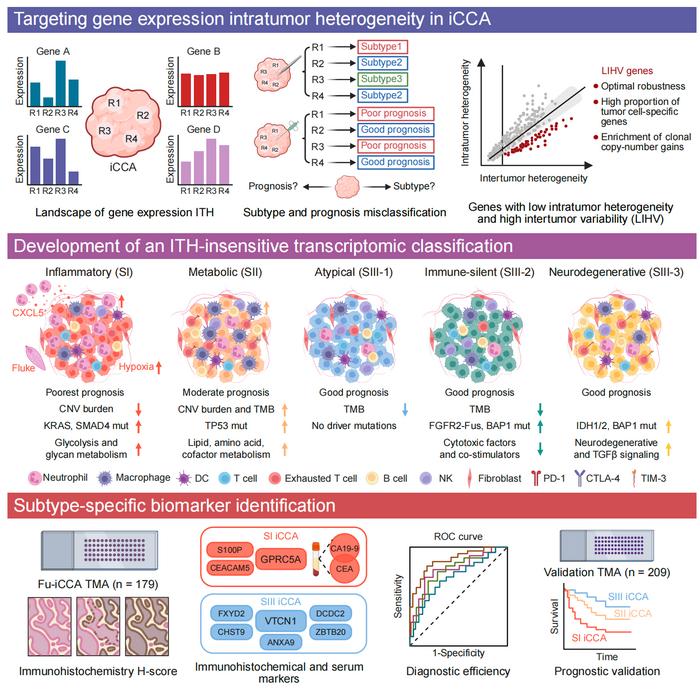 Molecular classification system of intrahepatic cholangiocarcinoma (iCCA)
