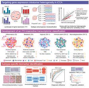 Molecular classification system of intrahepatic cholangiocarcinoma (iCCA)