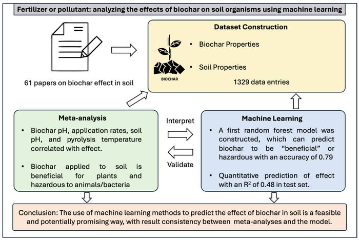 Fertilizer or pollutant: analyzing the effects of biochar on soil organisms using machine learning