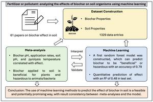 Fertilizer or pollutant: analyzing the effects of biochar on soil organisms using machine learning
