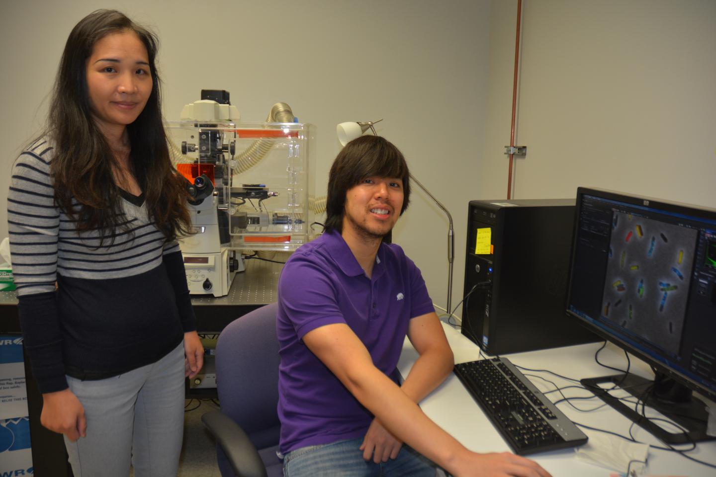 Decision-Making Process of Viruses Could Lead to New Antibiotic Treatments