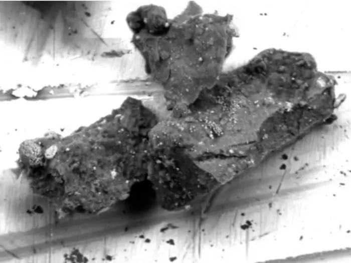 Ryugu grain No. 15 from sample plate C0105-042