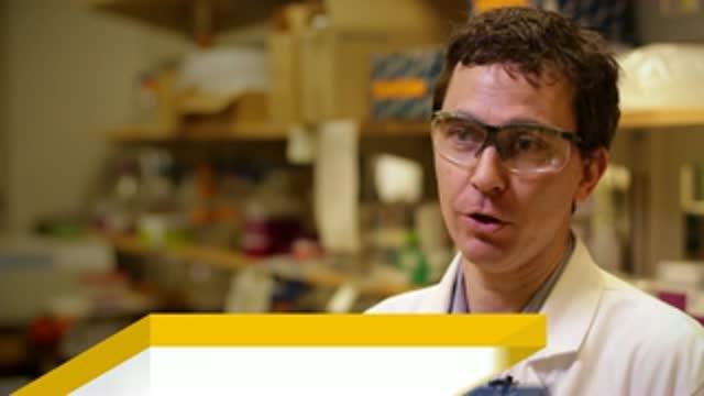 Bacterial Litmus Test for Micronutrients