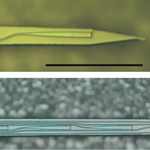 Probe Illustration