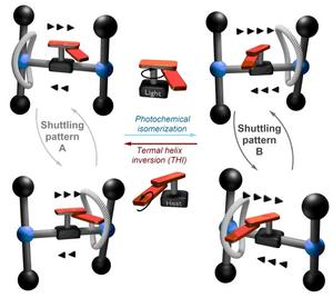 Constructing a dual motion mode in a single molecular machine