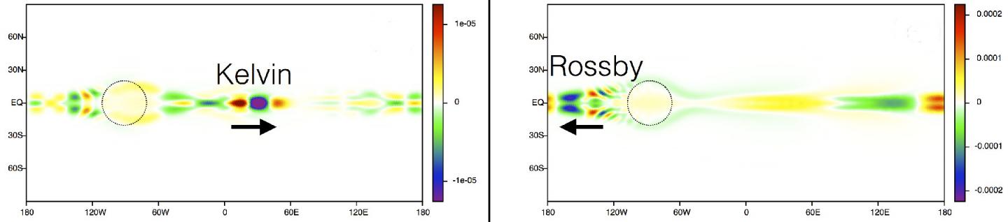 Topological Origin of Equatorial Waves