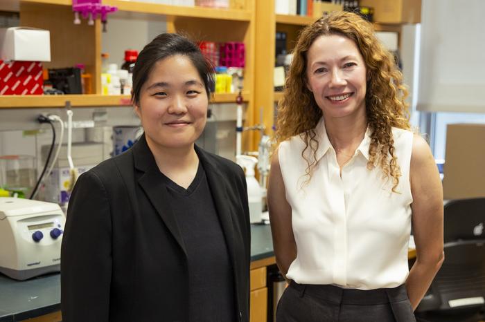 Dr. Elizabeth Kim Wins 2026 Tri-Institutional Breakout Award