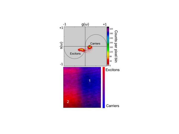 Phasor