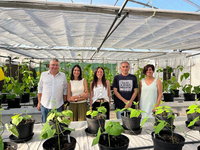 Serida sequences the first complete genome of the Faba Granja Asturiana, a key advance for its genetic improvement and conservation