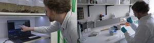 Researcher in the Lab