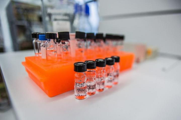 In the Laboratory
